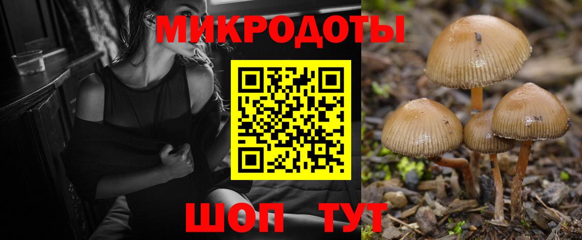 Шахты  Псилоцибиновые грибы MAGIC MUSHROOMS  Псилоцибиновые грибы MAGIC MUSHROOMS  Вход с VPN 